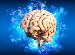 Image result for Human Brain Thinking