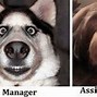 Image result for Exhausted Work MEME Funny