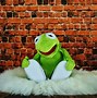 Image result for Funny Kermit Background