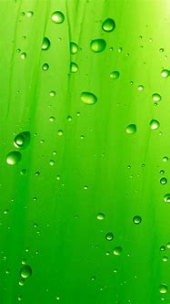 Image result for iPhone 5C Green Wallpaper