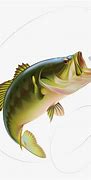 Image result for bass fish clip art
