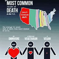 Image result for Vegan Lifespan vs Meat Eater