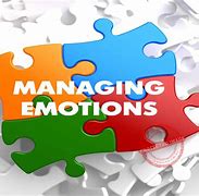 Image result for How to Handle Emotion Book