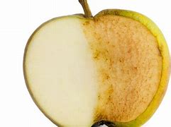 Image result for Oxidized Apple