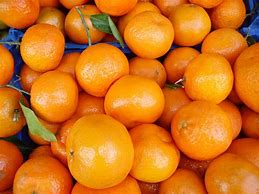Image result for Orange Types