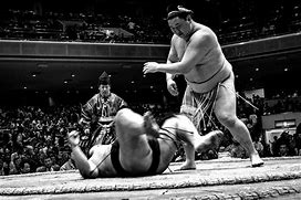 Image result for Child Sumo Wrestlers