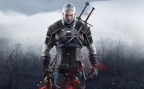 Image result for Witcher Video Game