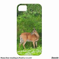 Image result for iPhone 11 Coyote Brown Case