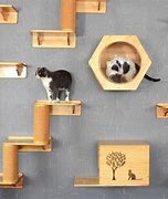 Image result for Unique Cat Toys