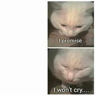 Image result for Promise You Won't Cry Meme