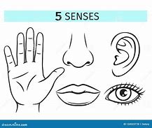 Image result for Five Senses Black and White