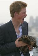 Image result for prince harry wildlife photos