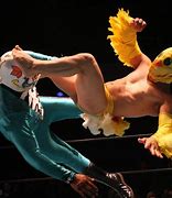 Image result for Mexican Wrestling Award
