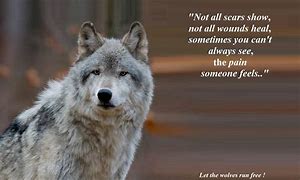 Image result for Wolf Self Care Day