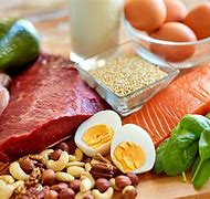Image result for Protein-Enriched Foods