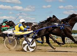 Image result for Race Horse Finishes