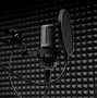 Image result for Podcast Virtual Background