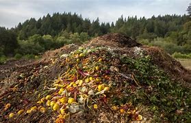 Image result for Compost Pile