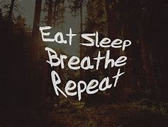 Image result for Eat Sleep Breathe