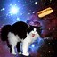 Image result for Galaxy Cat Tripping