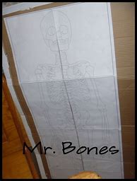 Image result for Life Size Skeleton Print Out