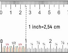 Image result for 8 Inches Compared to a Human