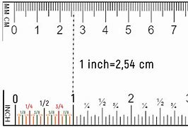 Image result for 192 Cm in Feet