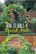 Image result for Arched Trellis Ideas