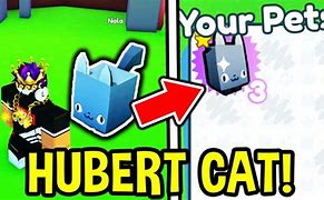 Image result for Hubert Cat Pet Sim X