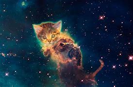 Image result for Cosmic Cat Nebula