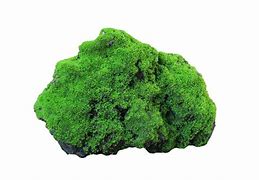 Image result for Moss Stone PNG
