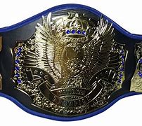 Image result for Generic Championship Belts