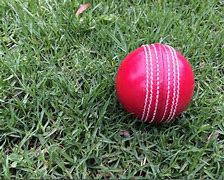 Image result for English Cricket Players