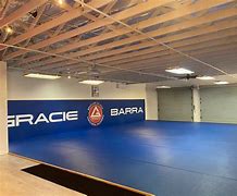 Image result for Gracie Barra Jiu Jitsu Santa Rosa