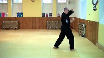 Image result for Karate Moves for Cordination
