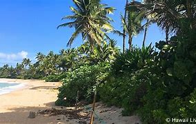 Image result for papailoa_beach