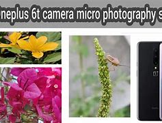 Image result for One Plus 6T Camera Sample