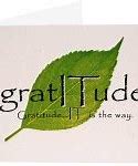 Image result for Theme of Gratitude