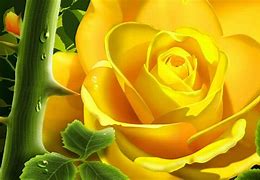 Image result for Cool Roses