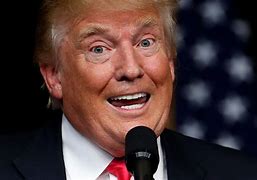 Image result for Funny Zoom Backgrounds Trump