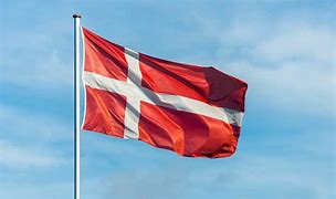 Image result for Denmark Flag Colors