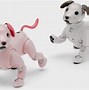 Image result for Aibo Cute