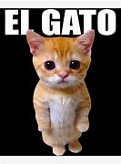Image result for El Gato Munchkin Cat Meme