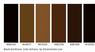 Image result for Color Scheme Black to Brown to Silver