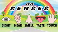 Image result for Five Senses Songs Preschool