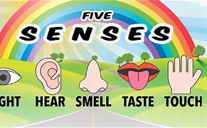 Image result for 5 Senses Toddler Song