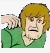 Image result for Shaggy vs Scooby Doo