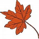 Image result for Maple Leaf Outline Clip Art