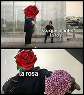 Image result for Memes Sobre Rosas