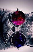 Image result for Cat with Galaxy Glasses Background